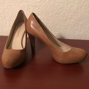 Franco Sarto Cicero pumps